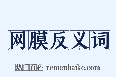网膜反义词是什么意思的图片